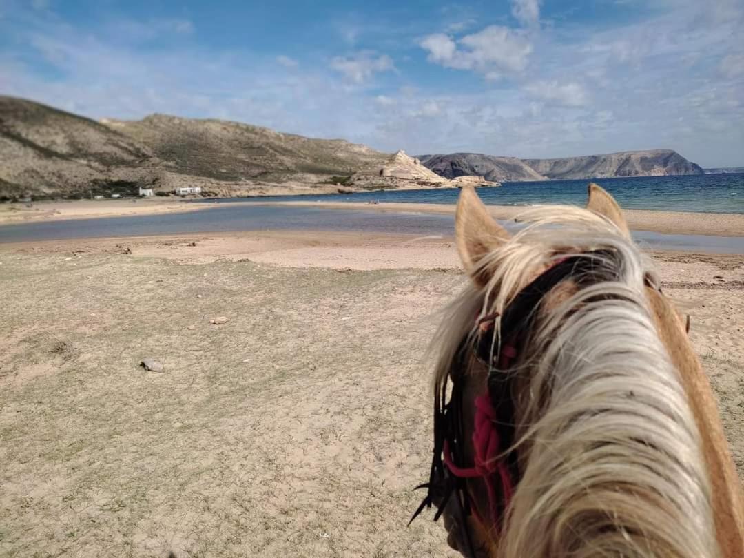 Caballo De Mar Frison Cabo De Gata San José Exterior foto